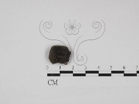 登錄號:F0030934藏品圖，第3張