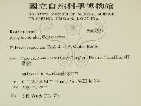 登錄號:F0030935藏品圖，第2張