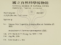 登錄號:F0030937藏品圖，第2張