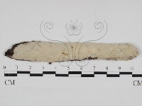 登錄號:F0030937藏品圖，第1張