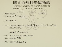 登錄號:F0030938藏品圖，第2張