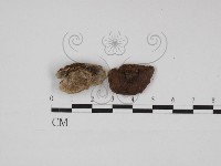 登錄號:F0030938藏品圖，第1張