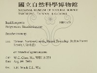 齒耳菌屬藏品圖，第2張