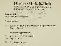 齒耳菌屬藏品圖，第2張