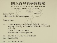 靈芝屬藏品圖，第2張