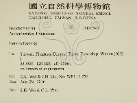 刺皮菌屬藏品圖，第2張