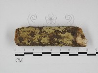 登錄號:F0030945藏品圖，第1張