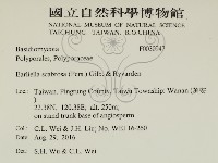 登錄號:F0030947藏品圖，第2張