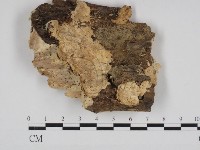 登錄號:F0030947藏品圖，第1張