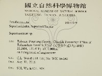 登錄號:F0030949藏品圖，第2張