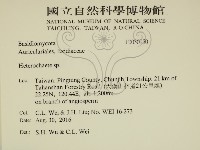 刺皮菌屬藏品圖，第2張