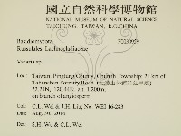 登錄號:F0030959藏品圖，第2張