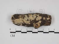 登錄號:F0030961藏品圖，第1張