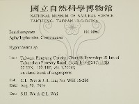 絲皮菌屬藏品圖，第2張