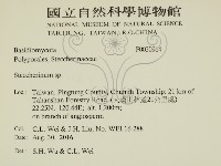 齒耳菌屬藏品圖，第2張