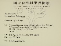 登錄號:F0030966藏品圖，第2張