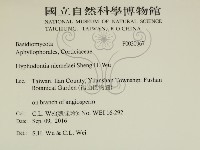 登錄號:F0030967藏品圖，第2張