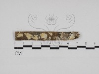 登錄號:F0030968藏品圖，第1張