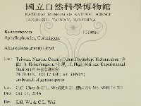 登錄號:F0030969藏品圖，第2張