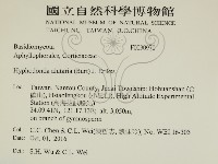 登錄號:F0030970藏品圖，第2張