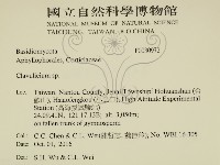 登錄號:F0030972藏品圖，第2張