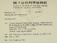 登錄號:F0030973藏品圖，第2張