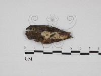 登錄號:F0030973藏品圖，第1張