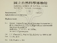 絲皮菌屬藏品圖，第2張