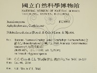 登錄號:F0030976藏品圖，第2張