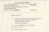 登錄號:F0030976藏品圖，第3張