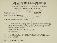 登錄號:F0030977藏品圖，第2張