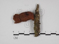 登錄號:F0030977藏品圖，第3張