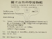 盤革菌屬藏品圖，第2張