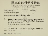 登錄號:F0030982藏品圖，第2張