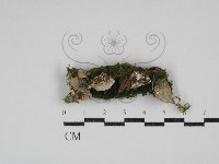 登錄號:F0030987藏品圖，第1張