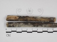 登錄號:F0030988藏品圖，第1張