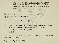 登錄號:F0030990藏品圖，第2張