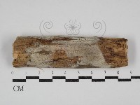 登錄號:F0030991藏品圖，第1張