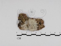 登錄號:F0030992藏品圖，第1張