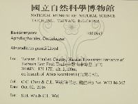 登錄號:F0030993藏品圖，第2張