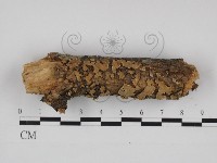 登錄號:F0030994藏品圖，第1張