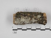 登錄號:F0030996藏品圖，第1張