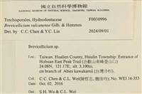 登錄號:F0030996藏品圖，第3張