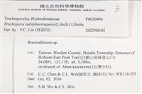 登錄號:F0030996藏品圖，第4張