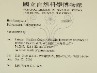 骨皮菌屬藏品圖，第2張