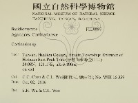 登錄號:F0030999藏品圖，第2張