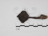 登錄號:F0030999藏品圖，第1張