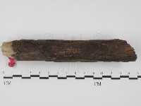登錄號:F0031001藏品圖，第1張