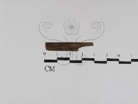 登錄號:F0031004藏品圖，第1張