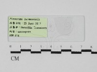 登錄號:F0031005藏品圖，第1張